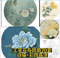 Chinese painting fine brushwork flowers and birds White drawing line drawing and color picture high-definition material art painting