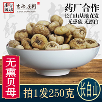  Non-smoked Changbai Mountain Fritillary Northeast Flat Fritillary Non-wild Sichuan Scallop mother Songbei Chinese herbal medicine Fresh Fritillary powder