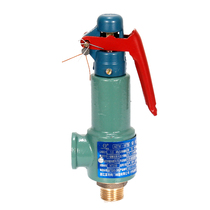 Large safety valve high temperature and high pressure steam generator uses safety valve