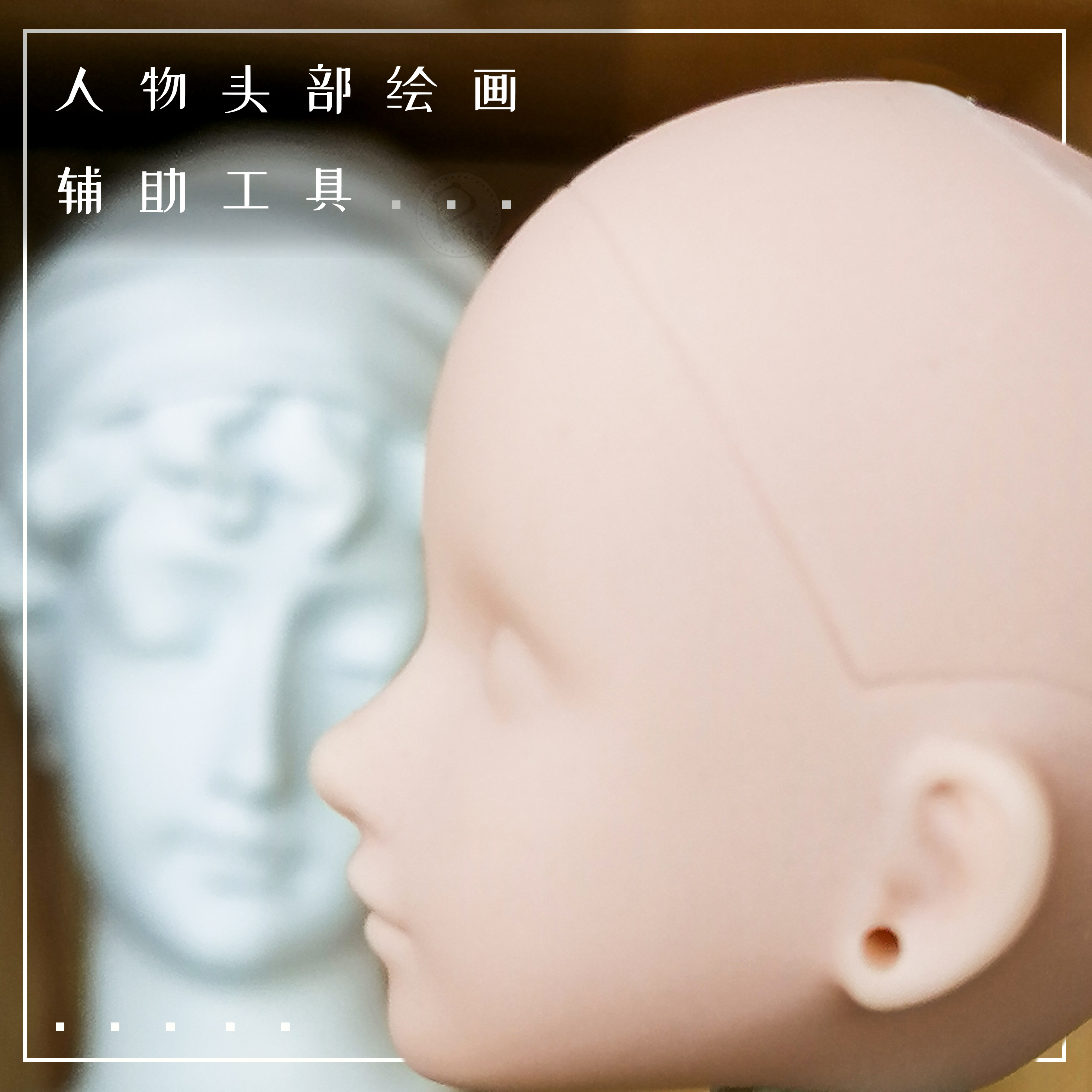 The white muscle doll head soft plastic dime image model animation model reference model without makeup