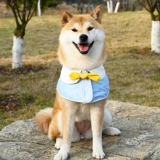 Шарф, нагрудник, милый плащ с бантиком