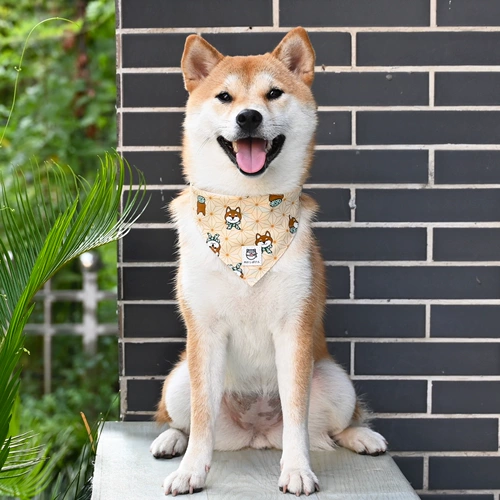 芮柴 Треугольный шарф воротник поводки японская домашняя собака кот Шиба Ину шея ворога Лаза