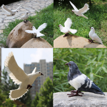 Simulated pigeon ornaments white dove wedding props peace dove model real feathers can be hung to take photos of simulated bird specimens