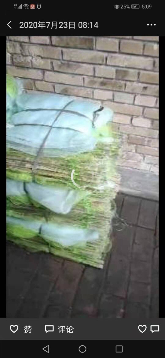 23 meters large three wire thickened tail shrimp cage fish cage crab loach cage