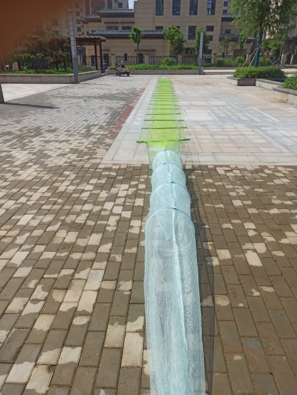 White tail 24 rods Baiyangdian shrimp cage with wings screen window material thick steel bar 40 cm high