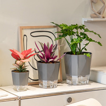 New water-free flower pots self-absorbing lazy Internet celebrities green roses gallon pots plastic balcony orchid succulent pots