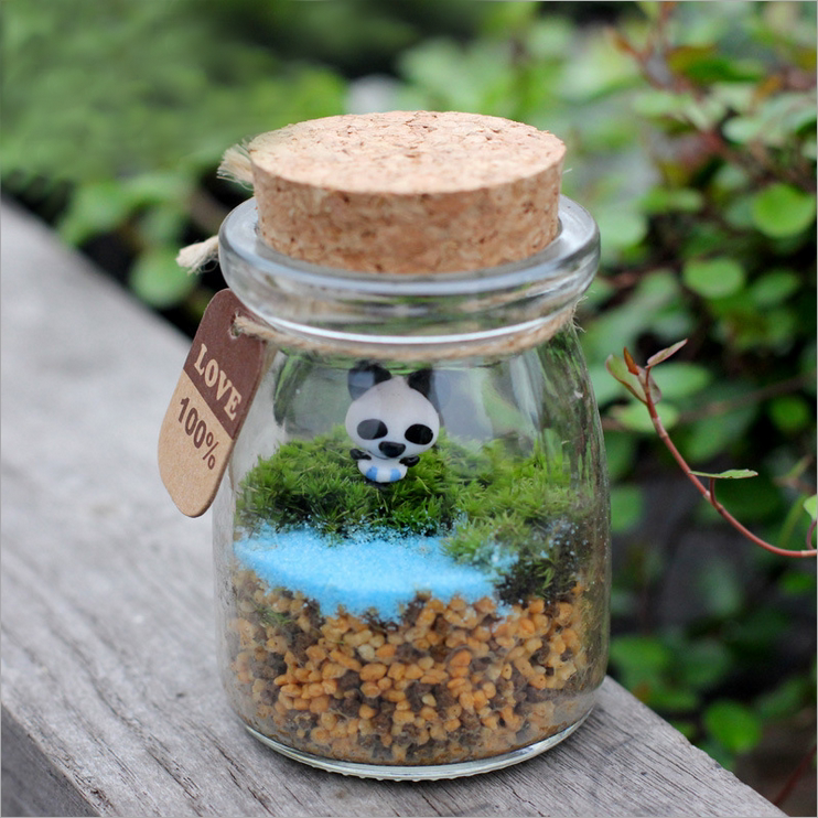 Moss Micro Landscape Craft Eco Bottle Pudding Bottle Hsu Willing Bottle of Vial Eco Bottle Suit Special Jar