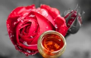 Tự làm xà phòng làm bằng tay tinh dầu cơ bản tinh dầu hoa hồng đỏ 5ml dầu thực vật dưỡng ẩm làm trắng - Tinh dầu điều trị