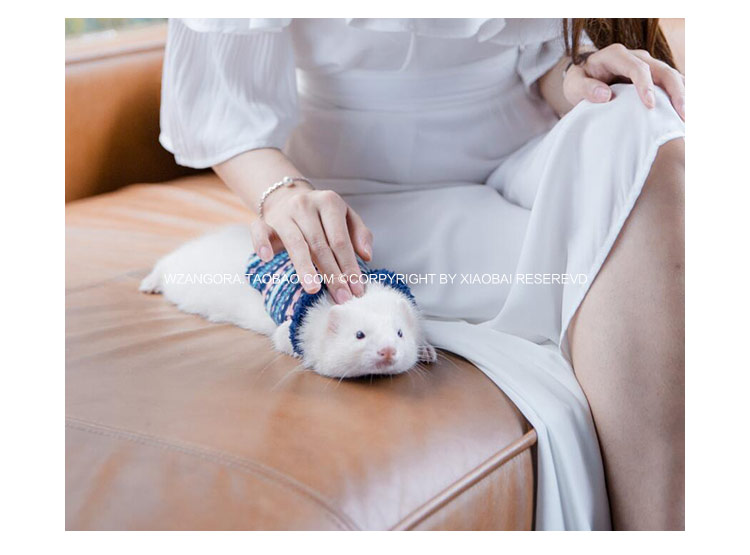 * 毛 领 * Thú cưng Anglu 貂 quần áo tuyết trang phục quần áo Xiaolong 貂 Angluma Xueer - Quần áo & phụ kiện thú cưng mũ cho mèo