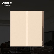 Op Lighting wall switch T07 series 1021A-F-J7-two orders