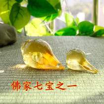 Zen Yue Ancient Dharma True Glass Miaoyin Fa Conch Conch Right Spin Tibetan Buddhist Ritual Ornaments One of the Eight Offerings
