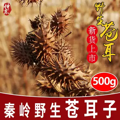 Xanthium authentic medicinal herbs wild Xanthium with Xinyi flower nasal congestion nasal itchy runny nose silo 500