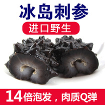 Imported Icelandic wild light dried thorn ginseng sea cucumber dried goods 100g Special offer non-fresh seafood ready-to-eat