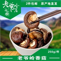 Laoyeling northeast origin self-selling fresh mushrooms deep mountain dry mushroom root short meat thick shiitake mushrooms 2 pieces