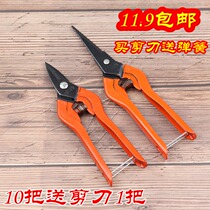 South Korea Cut Spring Scissors Fine Chain Scissors Iron Wire Scissors Handmade Scissors Short Mouth 160MM Long Mouth 195MM