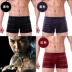 Đồ lót nam boxer nam modal thoáng khí sọc eo gợi cảm bốn góc đồ lót thanh niên hộp quà Bộ quà tặng