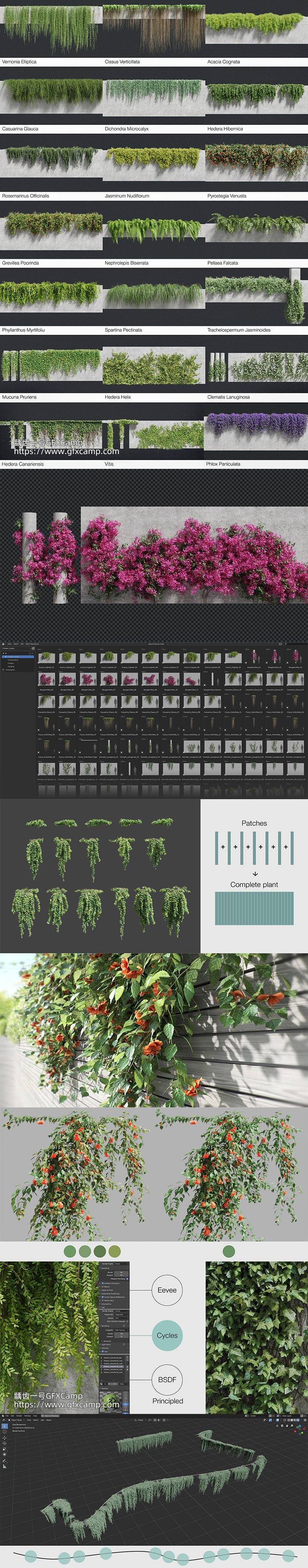 Blender 437组藤蔓爬山虎植物花朵3D模型资产预设 Creeper Scapes