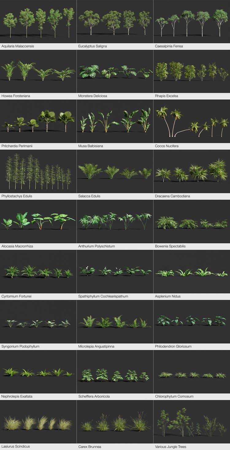 Blender花草大树木植物绿地风吹动态模型预设插件包 TerraScape Blender花草树木植物动态模型预设插件包 TerraScape