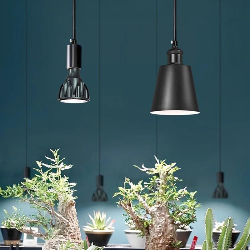 Light Plant Spectrum Supplementary Lighting, Light Too Bright, Heat from Sunlight, Indoor Plants, Green Room Plants, Home Hanging Flower Lamp, Potted Plants, Full-Grown Flowering Plants, Grow Light