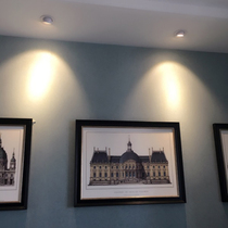 led spotlight cob elephant trunk lamp embedded downlight 5 watts opening 8 cm ceiling lamp clothing store 20w30w hole lamp