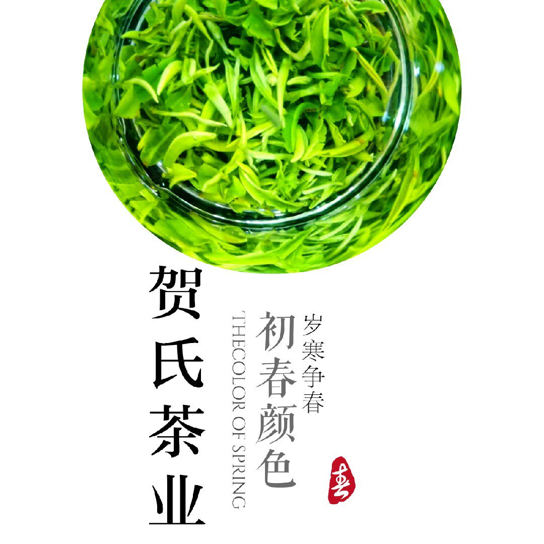 英山云雾茶的LOGO