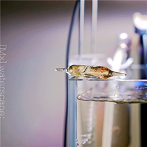 (Muxi nature)French Kodi fish tank nitrifying bacteria imported from France deodorant purification water treatment