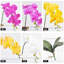 Simulation flower Phalaenopsis pu feel fake flower living room interior decoration flower arrangement flower material white plastic single branch orchid