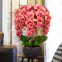 High-end Phalaenopsis simulation flower fake flower living room decoration flower orchid flower arrangement floral arrangement plastic flower arrangement