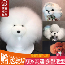 Head fake hair Teddy Meng Japanese head model Teddy head hair bone head skeleton pet fake hair