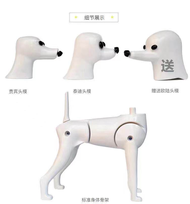 Swiss Pet Beauty Practice Teddy VIP False Hair Model False Dog Hair False Hair False Hair Hairy