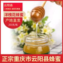 Special production Zhengzong Xia Xiaohua earth honey Three Gorges pure natural foreign sophora flower honey 255 gr in Yunyang County Chongqing Municipality
