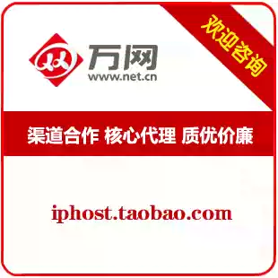 Wanwang.com Virtual Host Alibaba Cloud Exclusive Space Economy Inclusive Professional Edition Independent IP Global Node New