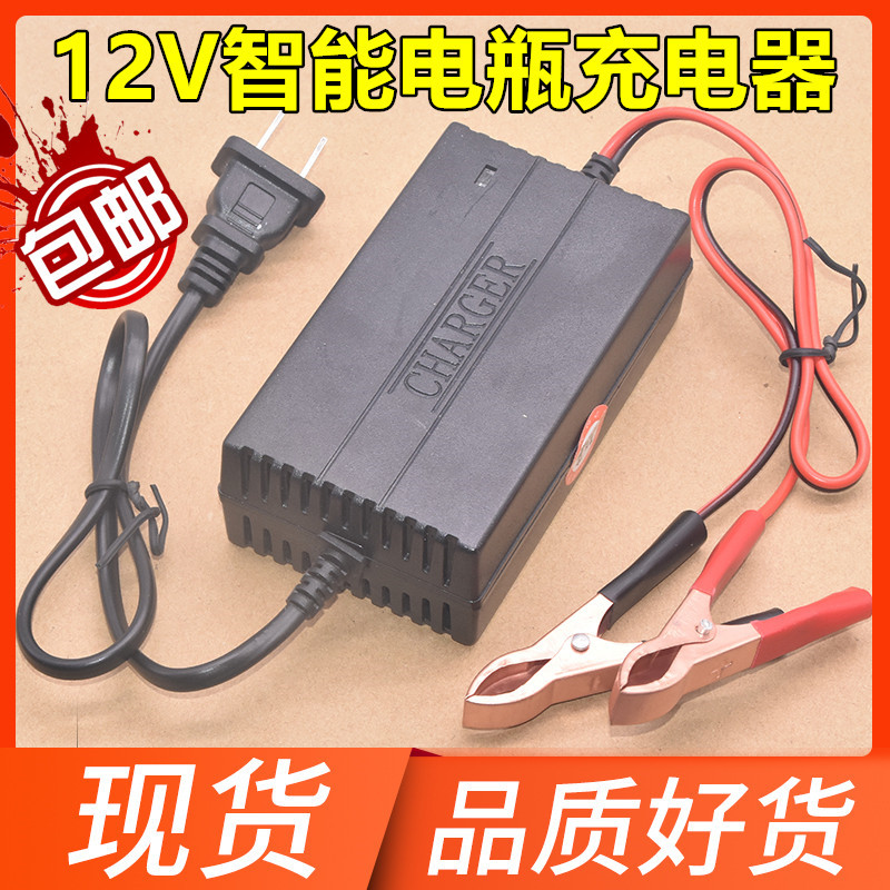 Intelligent 12V pedal locomotive battery charger universal storage battery repair charging motor dry water universal