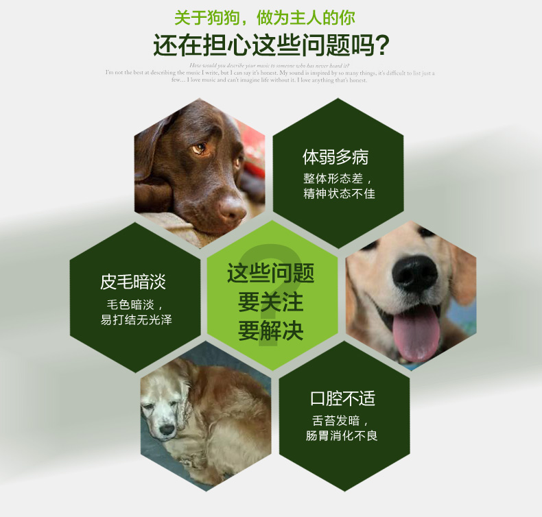 5 kg Aier dog thức ăn chính dành cho người lớn chính hãng thức ăn cho chó thức ăn cho chó Phá hủy số lượng lớn 500G loại phổ quát thức ăn cho chó zenith