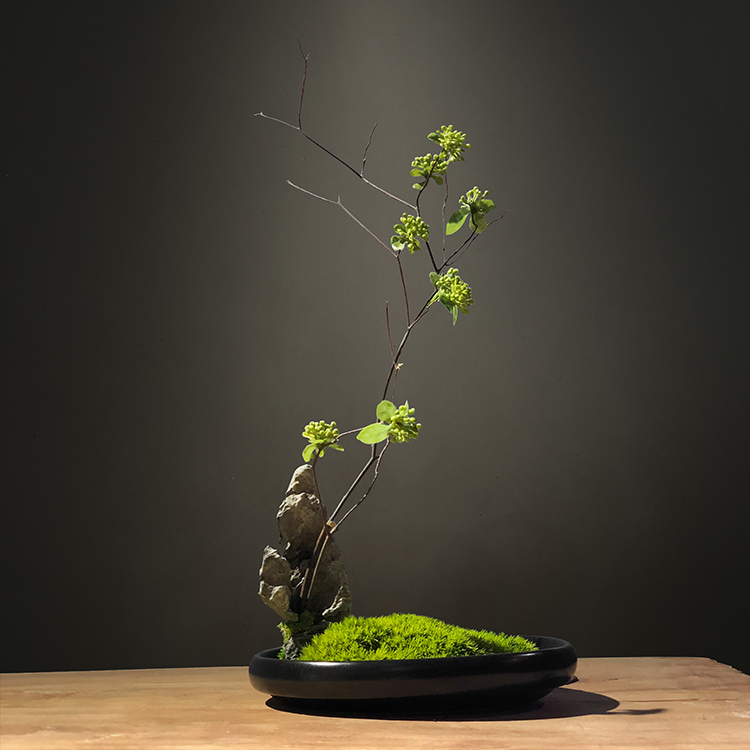 New Chinese-Style Dead Branch Micro-Landscape Moss Bonsai Floral Art Coffee Table Centerpiece Model Home Hotel Foyer Display Stand Decoration