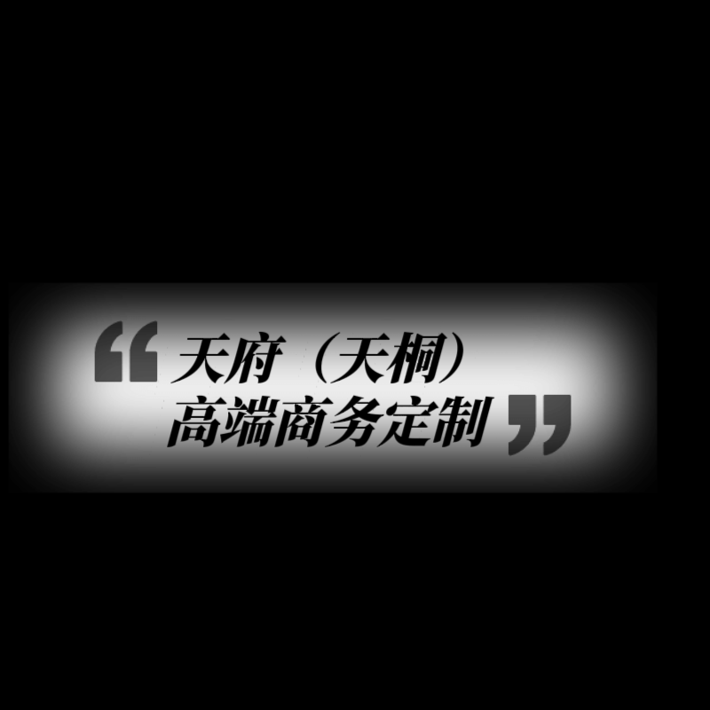 天府高端商务定制