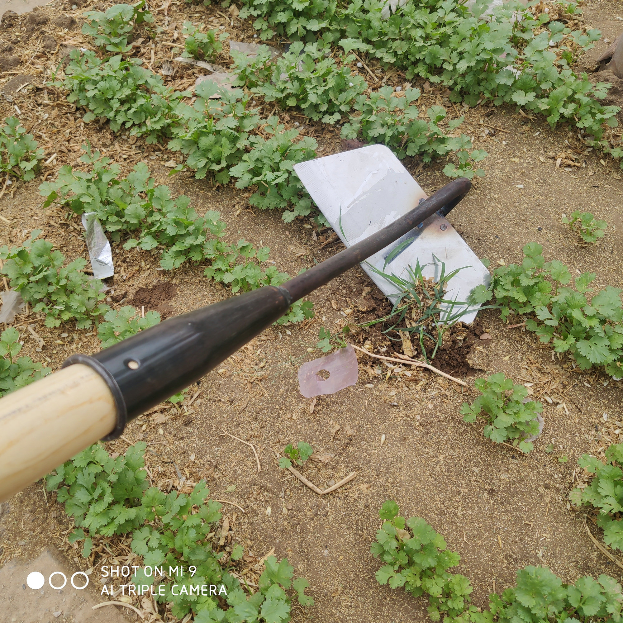 Hoe Hoe Agricultural Tool Hoe Weed Hoe Grass Hoe Seed Household Manganese Steel Farm Tools Shovel Grass Turner Stainless Steel Weeding God