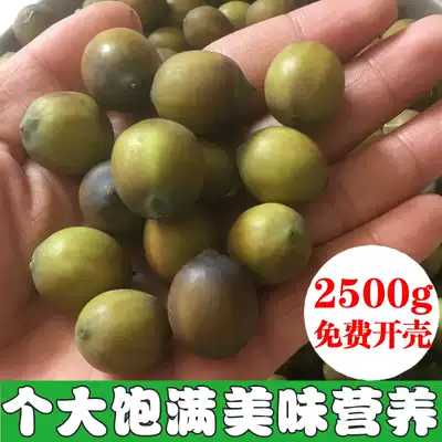 Mature old lotus seed rice Fresh lotus seed brown shelled lotus seed with core Fresh lotus seed Lotus rice is now picked and peeled 5 kg