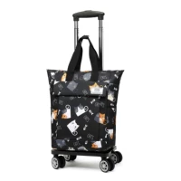 Съемный самолет, кот