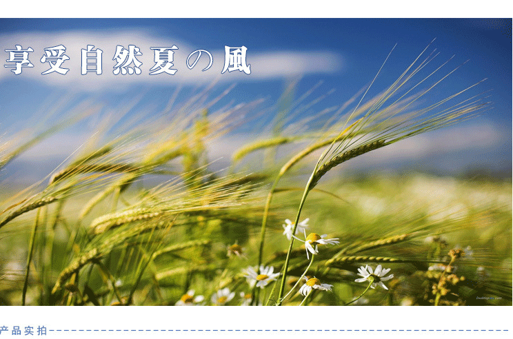 Ventilateur USB - Ref 400381 Image 24