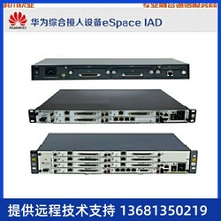 전문 Huawei Espace IAD19