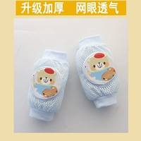 Медведь [1 пара паров]