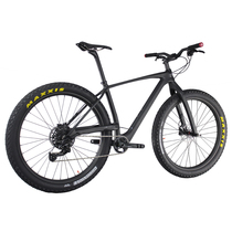 2016 new ICAN 29 carbon fiber mountain bike off-road bike UDM
