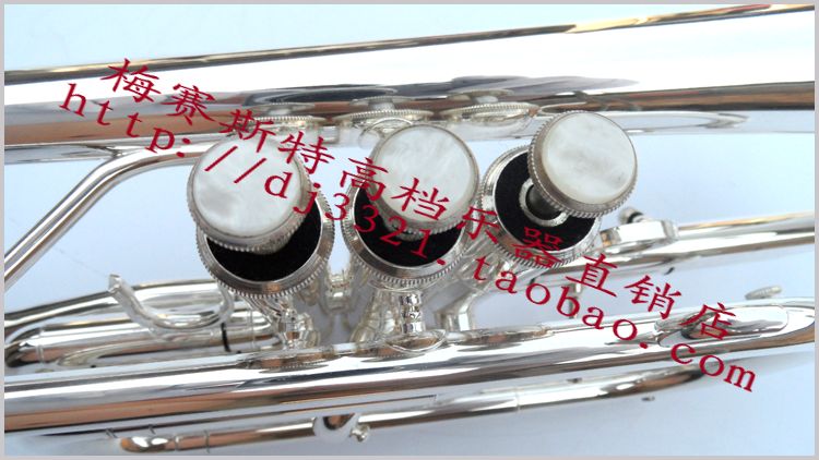 Anh đào Nhật Bản [SAKURA] YH-900S mạ bạc cao cấp nhạc cụ ngắn nhạc cụ kèn nhạc cụ giai điệu đẹp - Nhạc cụ phương Tây guitar điện yamaha
