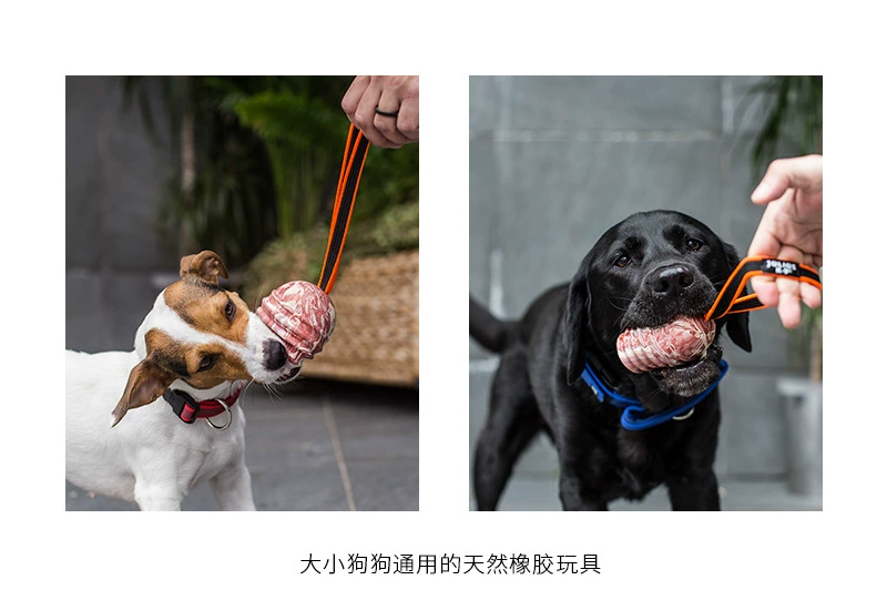Ông Dubin julius k9 Dupley quả bóng cao su con chó nút thắt dây đồ chơi bóng cắn nguồn cung cấp chó tương tác - Mèo / Chó Đồ chơi