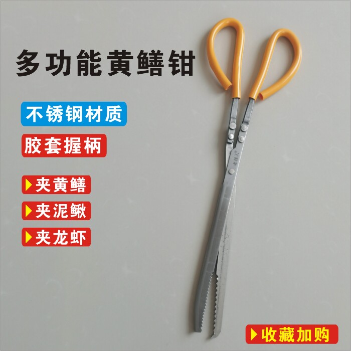 Eel clip stainless steel eel pliers mud loach crab clip catch sea artifact special tool fish controller