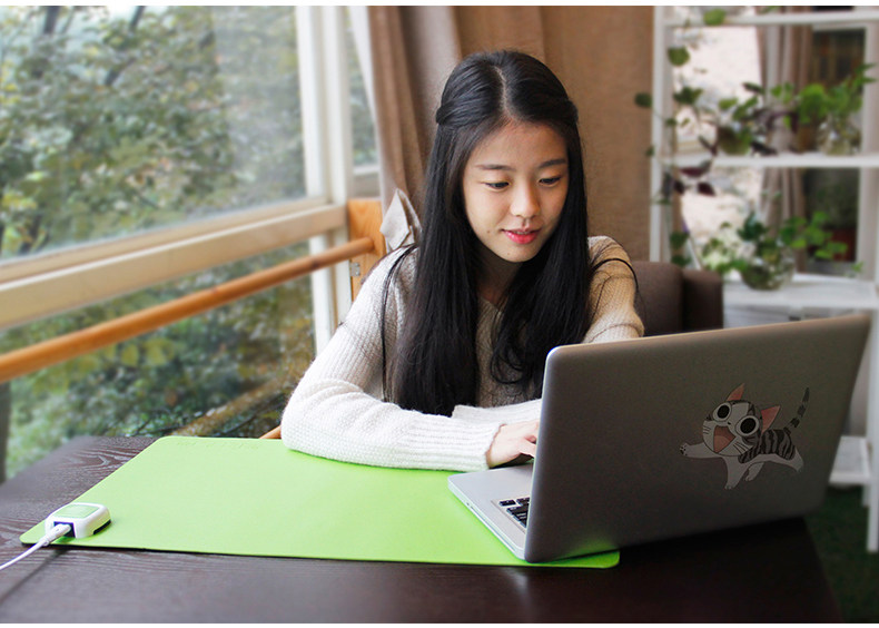 Coussin chauffant USB luxueux - Ref 426824 Image 29