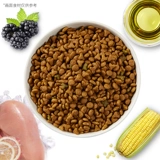 Noarin Avocado Fruit Fruit, полнофтазы Cat Food Merchant Super Store Model