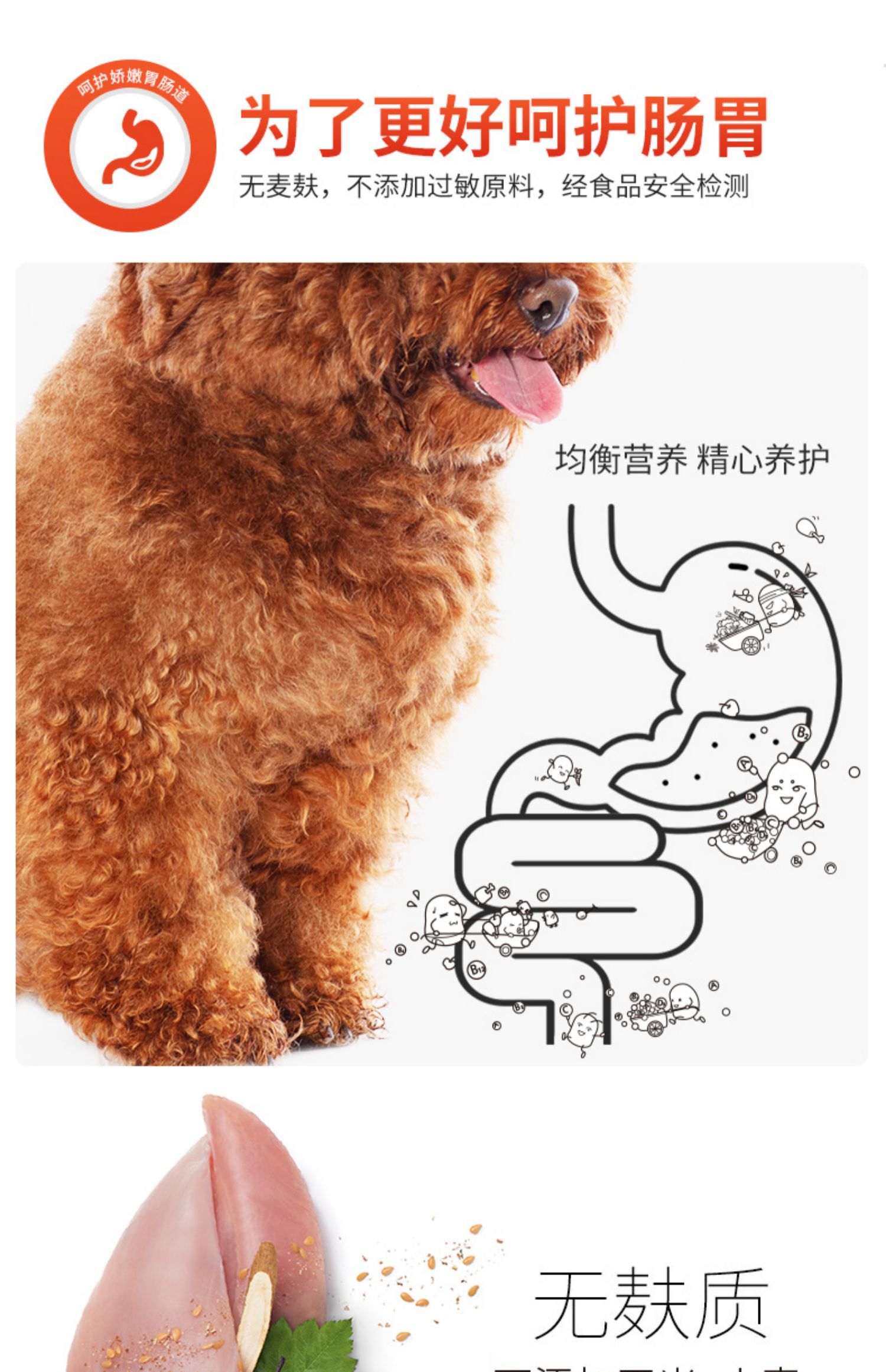 Thức ăn cho chó trưởng thành của Teddy Teddy Teddy Thực phẩm tự nhiên đặc biệt Teddy Thức ăn cho chó Teddy Thức ăn cho chó - Chó Staples cám cho chó con