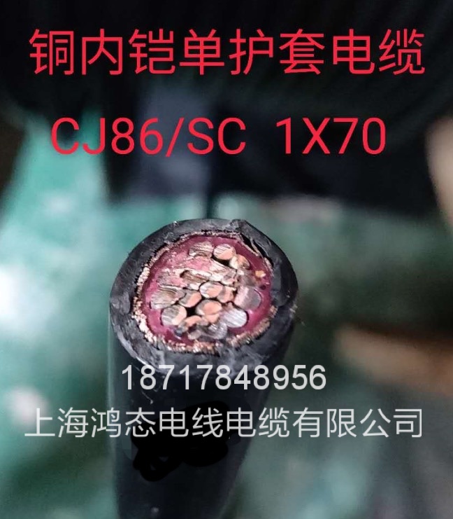 Single core inner sheathed shielding low smoke halogen-free flame retardant CJ86 SC 1*25 35 50 70 95 95 cable-Taobao
